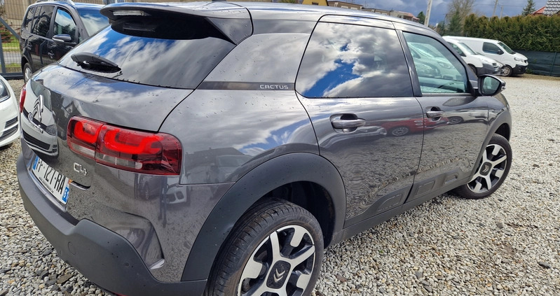 Citroen C4 Cactus cena 54900 przebieg: 35000, rok produkcji 2019 z Sulechów małe 154